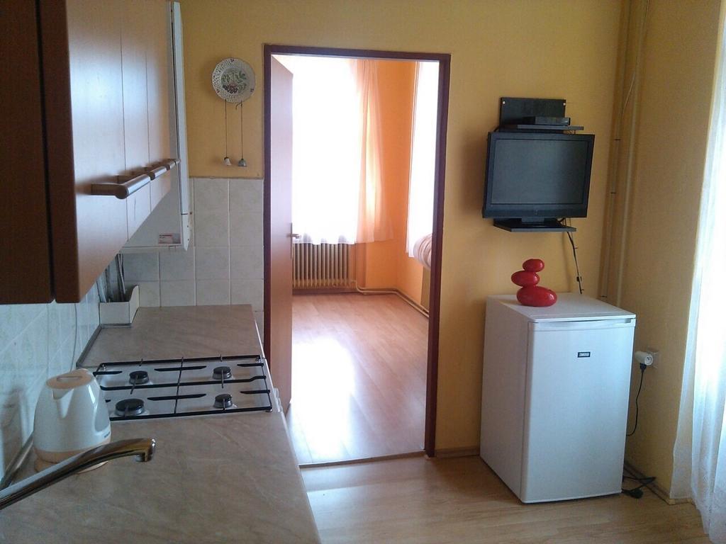Pension Vidhous 1 Františkovy Lázně Szoba fotó