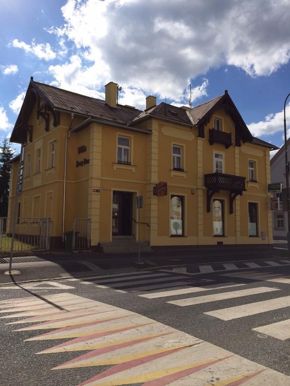 Pension Vidhous 1 Františkovy Lázně Kültér fotó