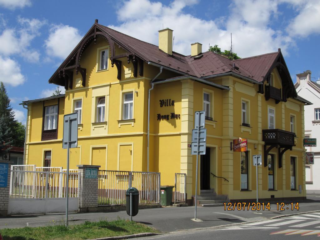 Pension Vidhous 1 Františkovy Lázně Kültér fotó