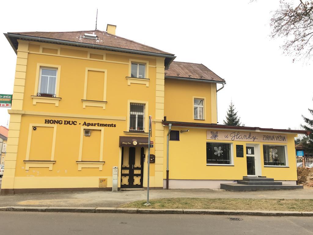Pension Vidhous 1 Františkovy Lázně Kültér fotó